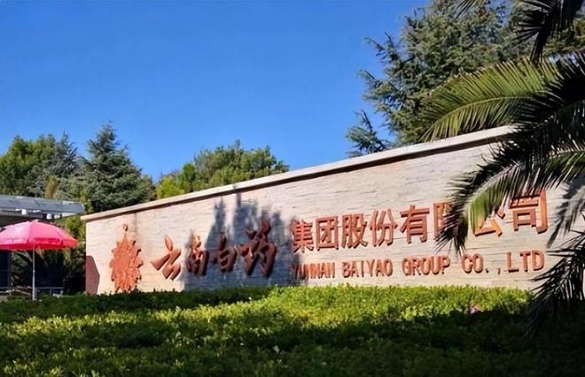 洁士、高露洁市场份额达到23%中国牙膏第一品牌：击败好来、佳(图10)